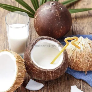 full-automatic capactity 500kg-10t/h coconut juice / milk