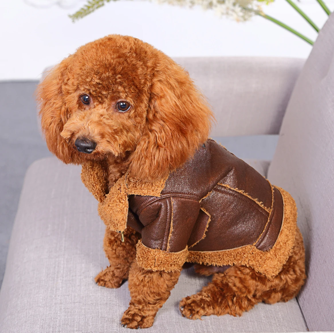 Soft And Warm Pet Dog Pu Clothes Leather Clothing Buy Dog Pu Clothes