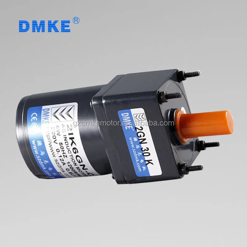 110 Volt Ac Gear Motor 6w Ac Motor For Electric Vehicle