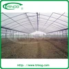 Multispan tunnel greenhouse for strawberry grape raspberry