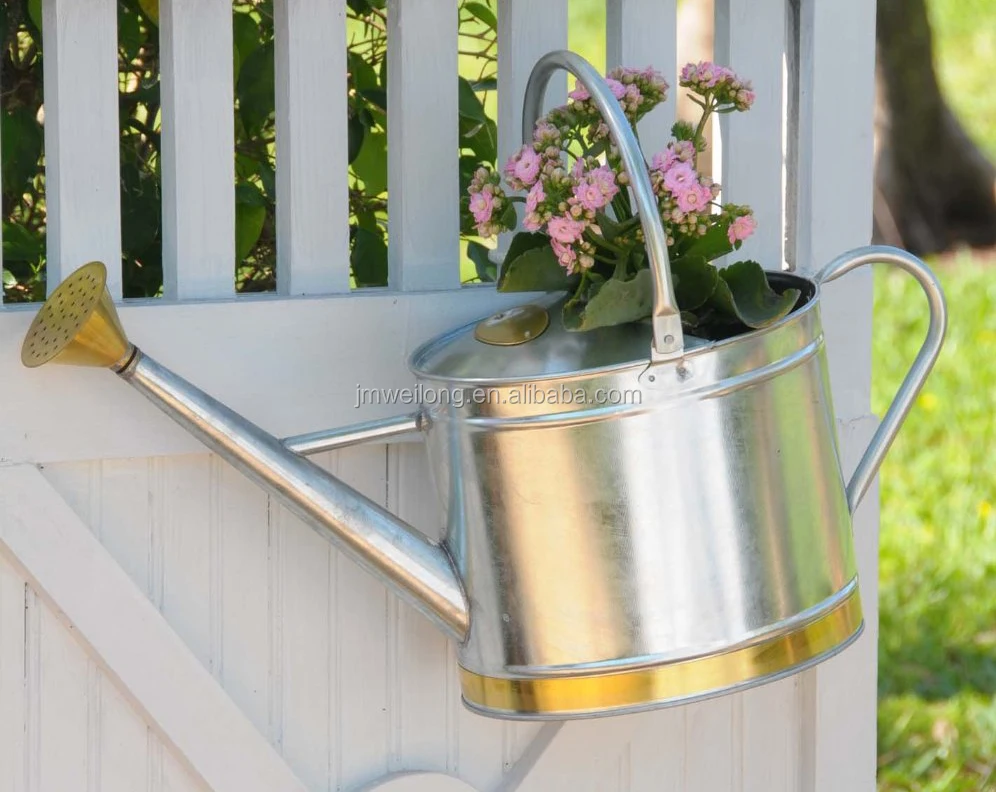 Colorful Decorative Metal Watering Cans With Two Handles For Kids Buy