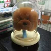 decorative artifact wholesale animal shape wool felt artifact