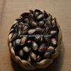 Bulk Packaging Fresh Black Seed Watermelon Seed in Competitive Price