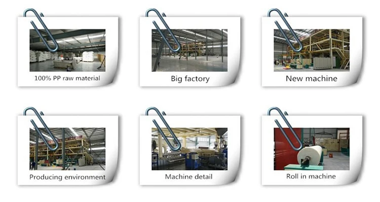 China factory TNT  Polypropylene spunbonded Nonwovens Fabrics roll