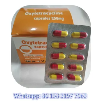 High Quality Oxytetracycline  Capsules  Usp bp For Animal 