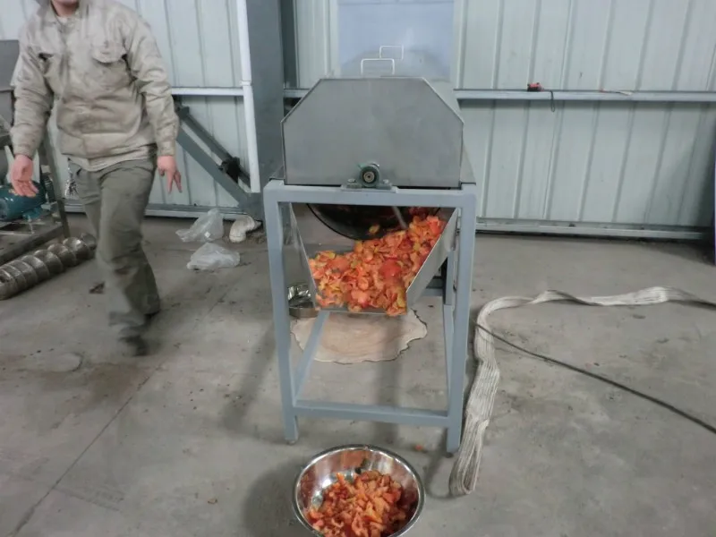 Tomato Seed Separating Machine Tomato Seed Extractor Buy Tomato Seed Extractor,Tomato Seed