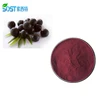 Pure Organic Acai Berry Extract Freeze Dried Acai Powder