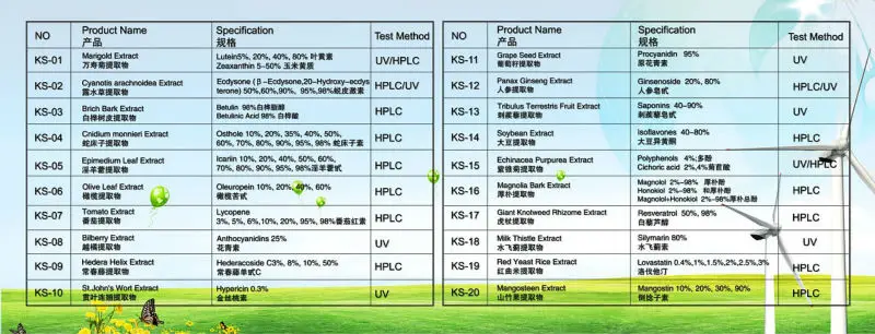 kingsci catalogue.jpg
