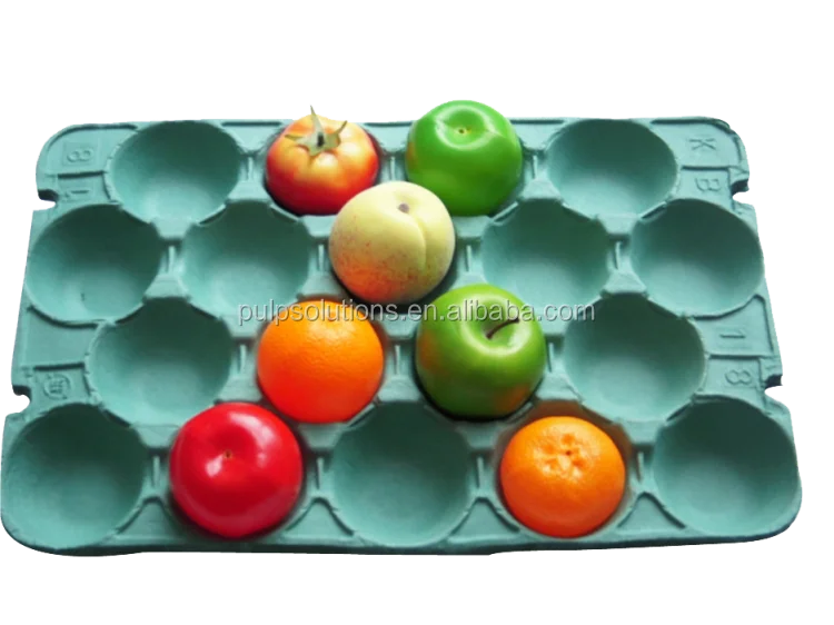 Disposable 100 Biodegradable Fruit Carton Packaging Tray Buy Fruit