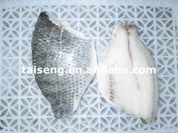 Iqf/ivp Frozen Tilapia Fish Fillet 79 Oz Buy Frozen Tilapia Fish