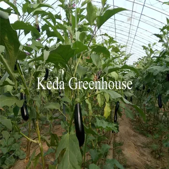 Single Span Greenhouse Bench Heater Greenhouse For Flower Buy