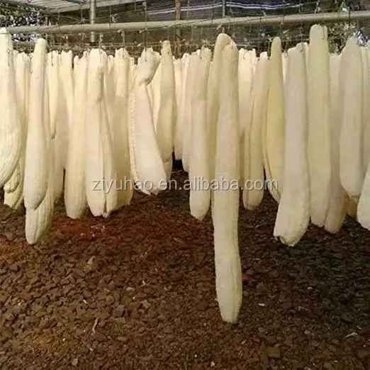 61xkCFfXe8L._SX522_ (1).jpg