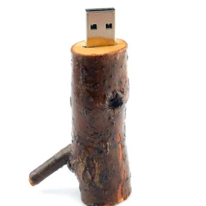 wood Maple wood Personalized LOGO usb flash drive usb 2.0 4GB 8GB 16GB 32GB 64GB photography gift Walunt wood - ANKUX.COM