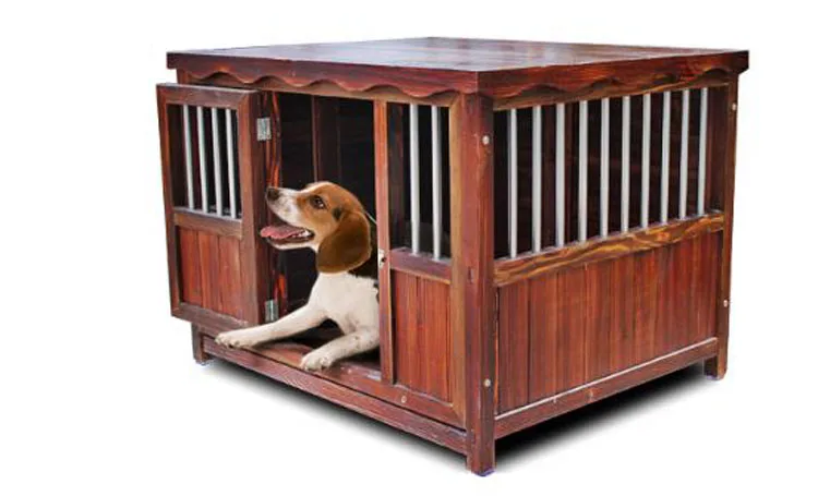 D DOG HOUSE .jpg