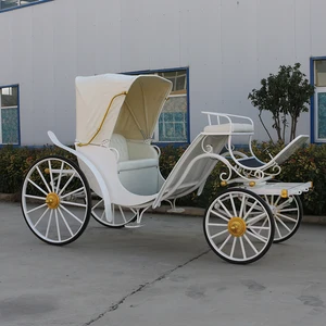 electrical horse carriage