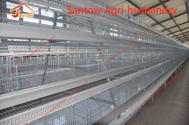 Automatic chicken cages hot galvanized poultry cage cheap price laying hen battery cage for layer farm design