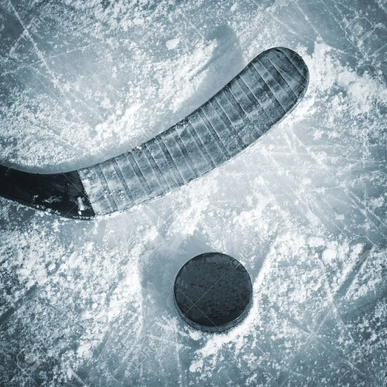 Ice Hockey Puck