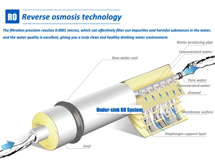 Individual direct drinking water purifier