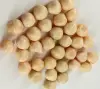 Charmmymit corn flavor gummy china milk soft chewy candy wholesale price