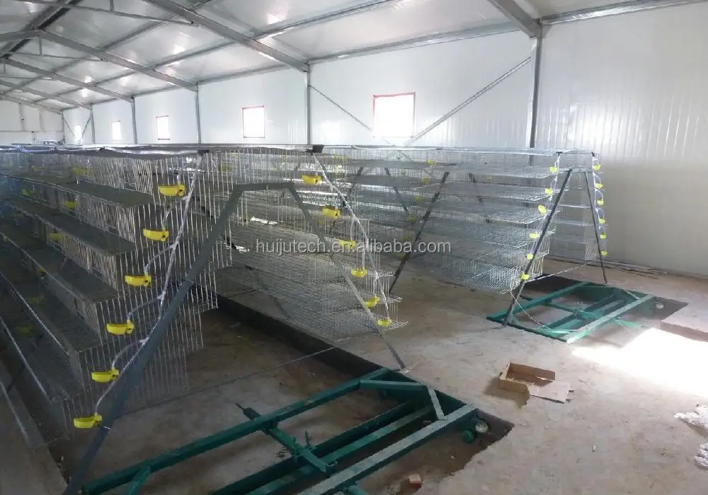 Quail Cage Excellent Quality Quail Breeding Cages Hjqc400 Buy Quail