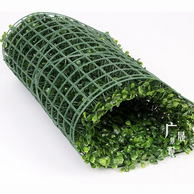 boxwood hedge roll (2).jpg