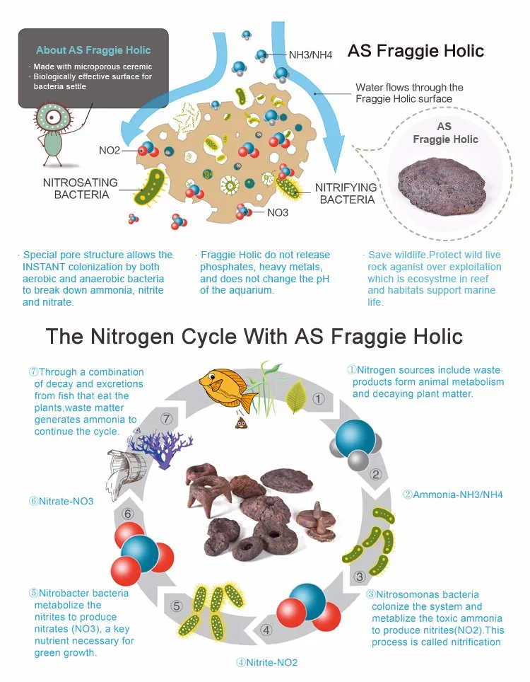 fraggie holic function
