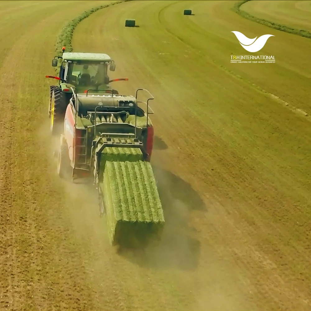 baler twine in packaing rope