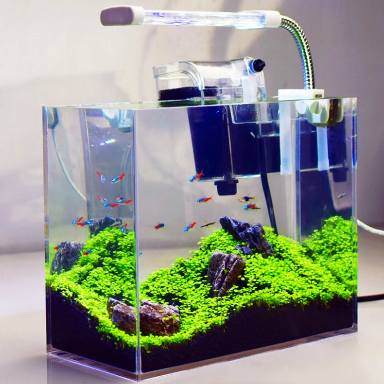 fish tank manufacturers