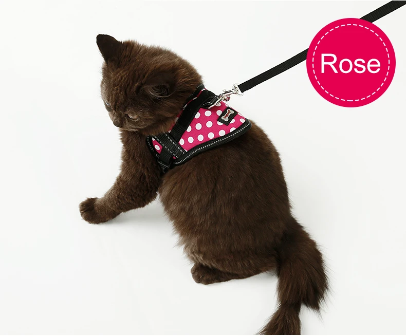 Unleash the Pawssibilities Top 10 Service Cat Harnesses! Furry Folly