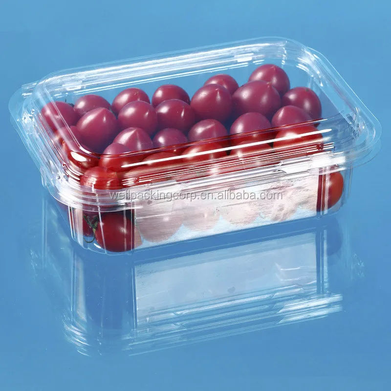 Disposable Plastic Fruit Container With Hinged Lid Buy Plastic Fruit