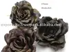 Flower head Rosen Rose 8.5 cm (3 inch) autum and winter colors