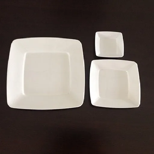 实用程序白色方形一次性塑料小盘子