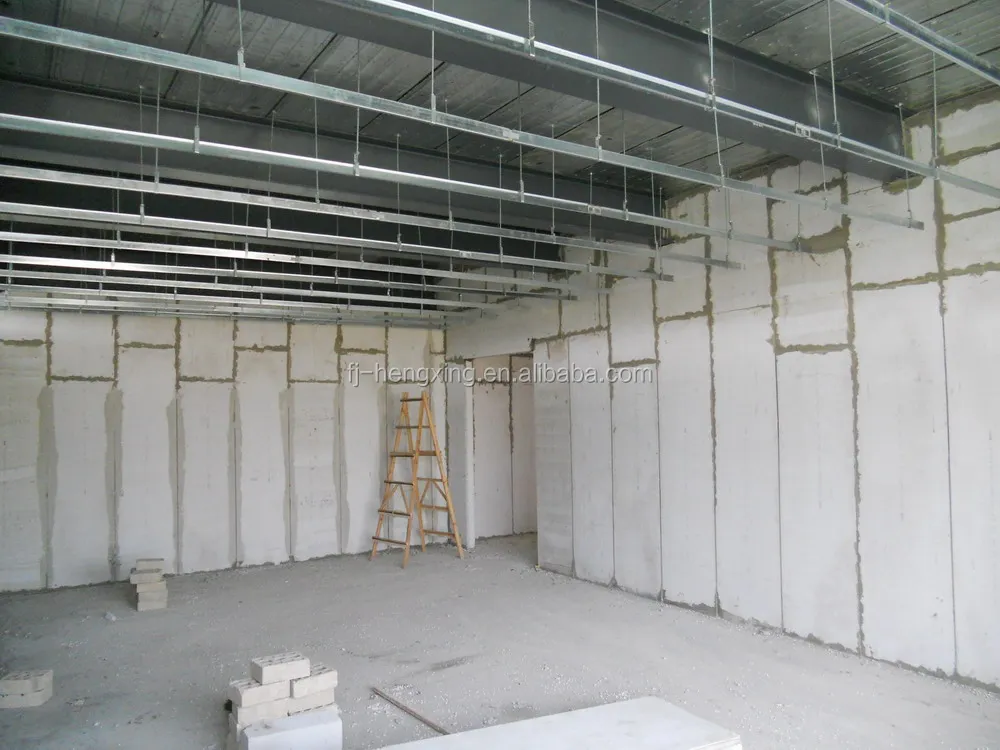 Wall Panel House 3.JPG