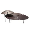 Creative living room coffee table multi-functional assembly leaf shaped end table