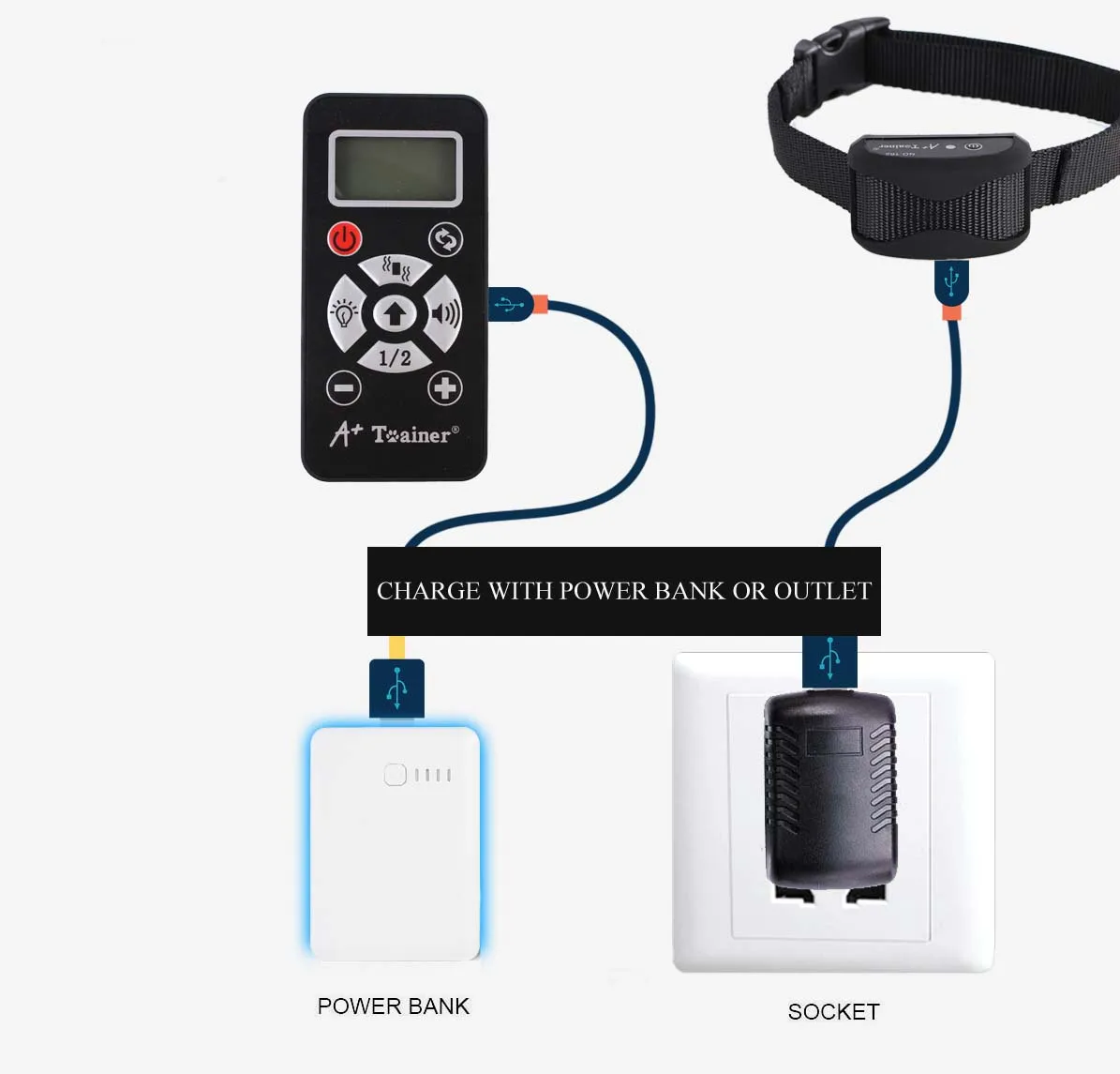 collars dog training   dog shock collar training