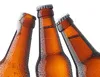 beer drink manufacturer /natural soft drink/natural alcoholic beverages