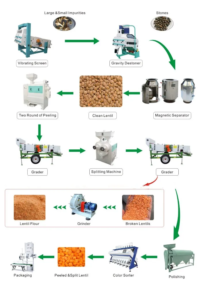 Lentil Processing  .jpg