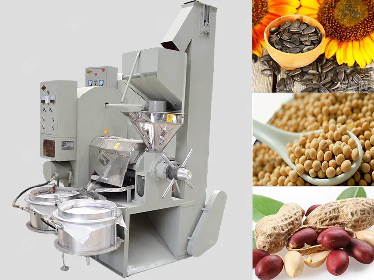 6yl 160 automatic grade cold screw oil press corn groundnut oil processing peanuts oil press machine