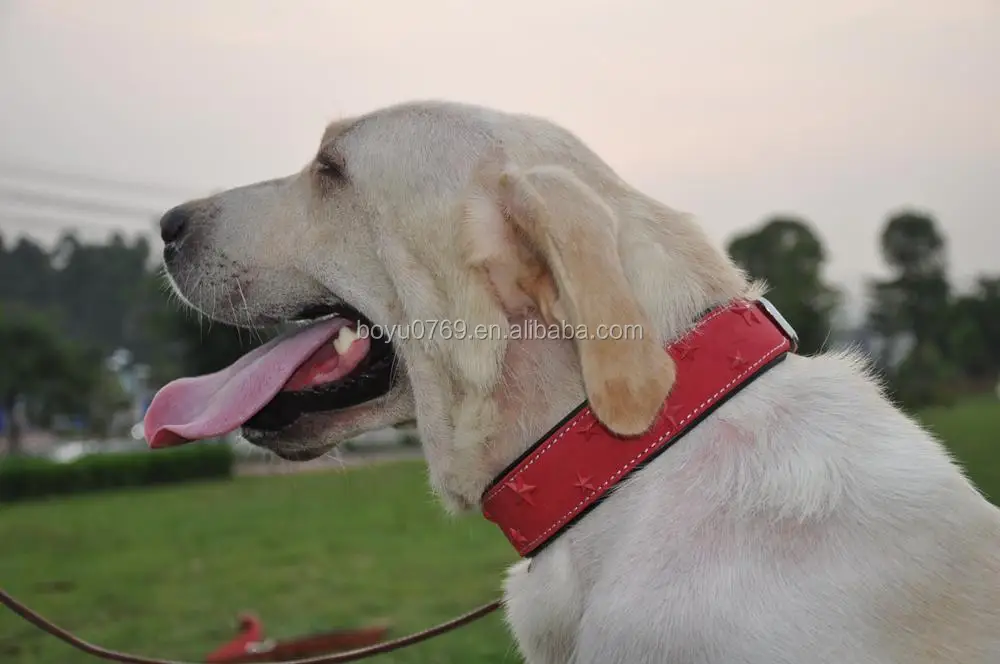 Customized Soft Leather Dog Collars For Labrador Retriever Buy Soft