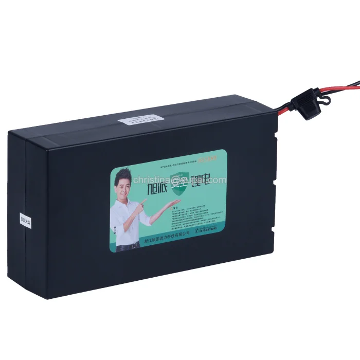 48V LithiumIonBattery.jpg