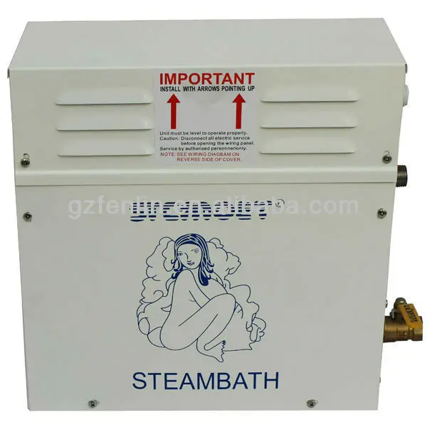 Guangzhou Fenlin Wholesale Portable Steam Generator Buy Portable