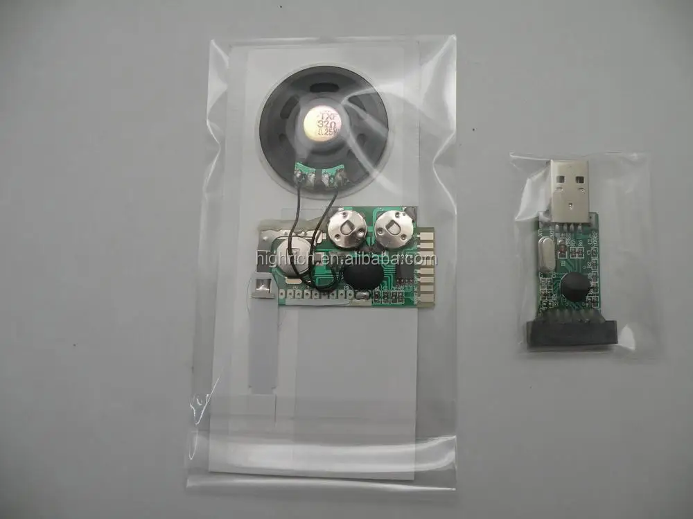 Usb Programmable /recordable/downloadable Sound Module For Cards Buy