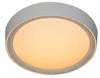 New Arrival WIFI RF Modern Surface Mounted 20W Led Ceiling Light