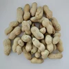 Factory Supply High Quality Roast Peanut In Shell And Kernel Price With Best Price