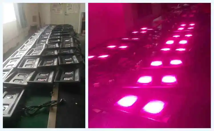 led grow light
