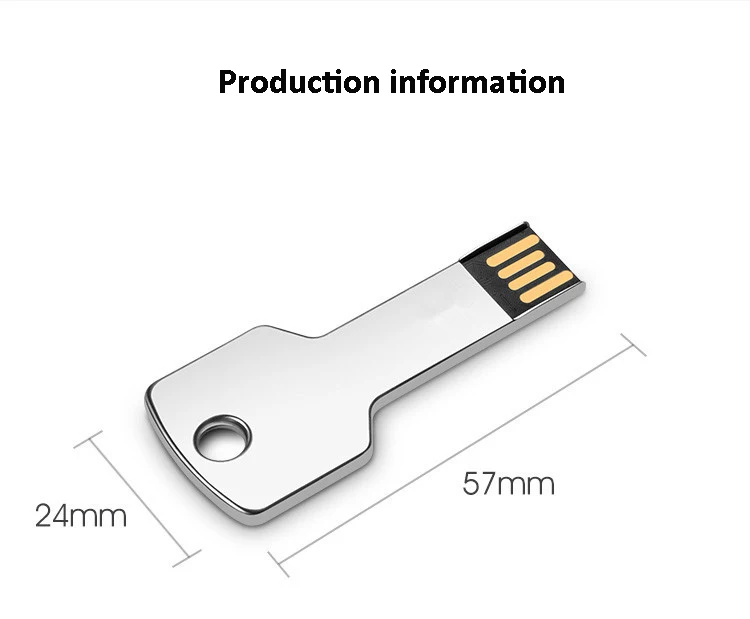 Hot Sale Metal Key Shaped Usb Flash Drive 2GB 4GB 8GB 16GB 32GB 64GB Memoria Stick With Custom Logo - ANKUX.COM