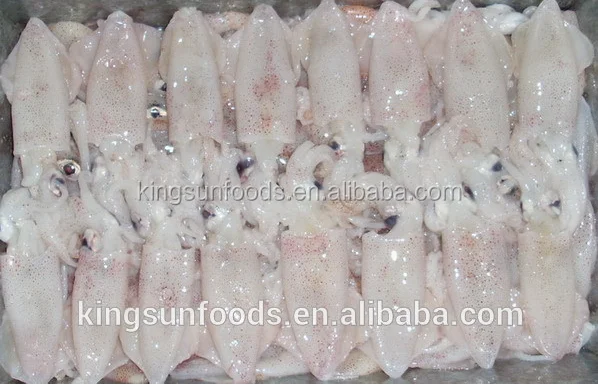 Popular Sale Bqf Baby Squid (loligo Japonica) - Buy Live Squid For Sale