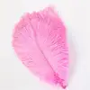 Factory directly sale cheap big size pink ostrich feather for part decor