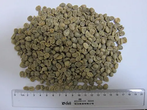 coffee beans mesh 16 up