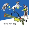 Hot selling new design pet dog training for fun playing shooting gun toy